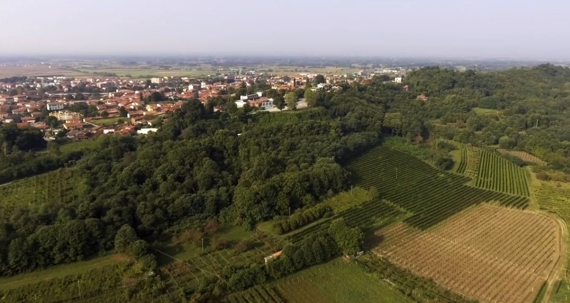 Immagine fondopagina 1